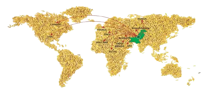 Premium-basmati-rice-exporter