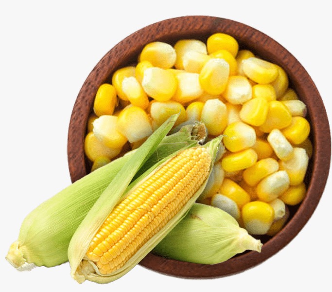 Yellow Corn